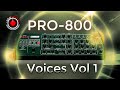 Voices Vol 1 - Behringer Pro-800 - Patches 50 to 74 (of 100)