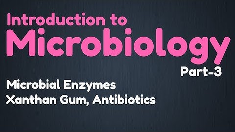 Introduction To Microbiology Part-3 | Microbial Enzymes | Xanthan Gums | Antibiotics