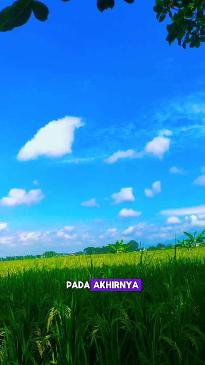mana nih suara anak muda yg tau tentang pertanian? #storywa #masukberanda #like #subscribe
