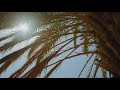 (إنجيل متى6: 19 - 34 (كنوز في السماء