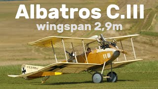 Albatros C.III | 2,9m scale RC biplane | 4K | Nesvacily 2023