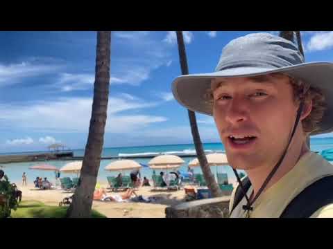 Clean Reefs: The Revelation - Part 1