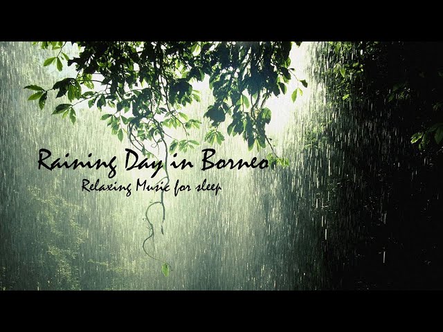Relaxing Music Borneo Authentic Rain And Thunder Sound | Sleep Meditation Music | Borneo class=