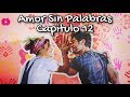 Amor Sin Palabras Capitulo 12 (Español)