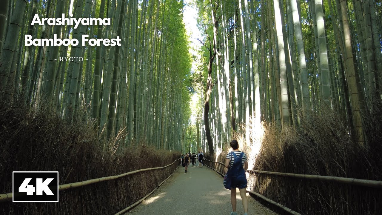 Exploring Arashiyama's Bamboo Forest || Kyoto, Japan [4K] Virtual Walking Tour