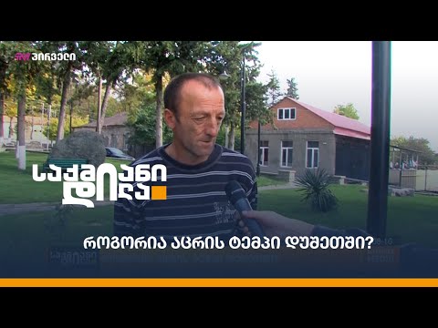 როგორია აცრის ტემპი დუშეთში?