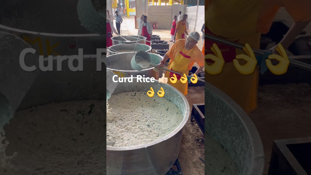 Curd rice by Gauranga Das for 10,000 devotees 
