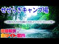 【埼玉キャンプ場紹介】せせらぎキャンプ場を徹底解説(オススメ)名栗川上流に位置するリバーサイドキャンプ場🎪