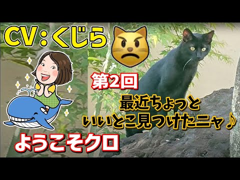 ようこそクロ 第2回 撮影 編集 Cv くじら Youtube ようこそクロ 第2回 撮影 編集 Cv くじら Youtube