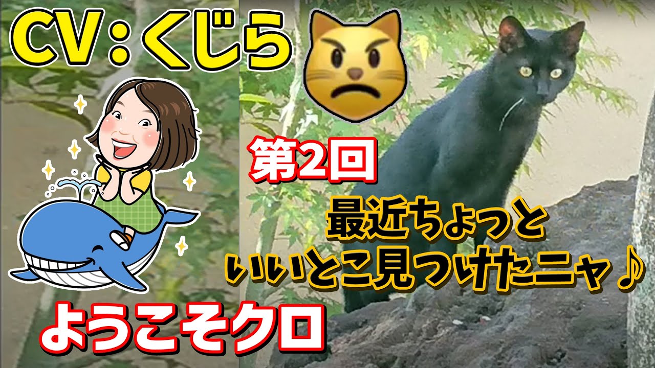ようこそクロ 第2回 撮影 編集 Cv くじら Youtube ようこそクロ 第2回 撮影 編集 Cv くじら Youtube