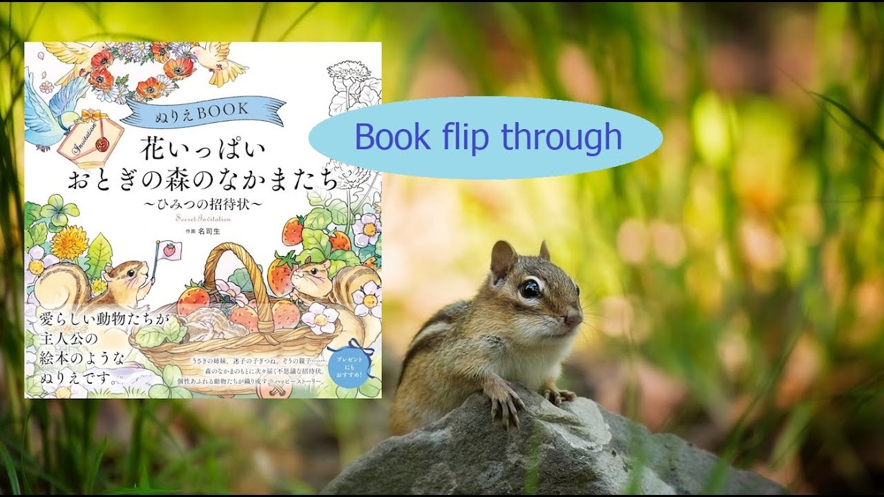 Secret invitation fairy forest friends | Ming Sisheng | book flip | Japanese book haul part 2