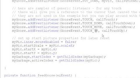Code View Part 2 for Goose - Multitouch with Just Flash and a Browser