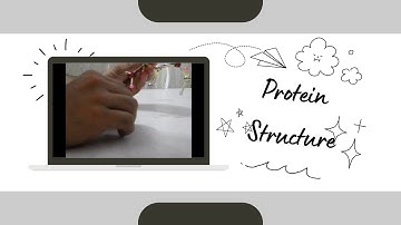 Mastering Protein Structure: 3D Ramachandran Plot | Protein Secondary Structure Models Explained!