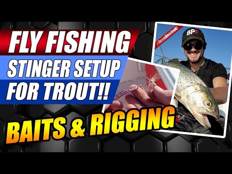 Fly Fishing Stinger For Trout - Fly Fishing For Beginners - Fly Fishing  Casting - Fly Fishing for 