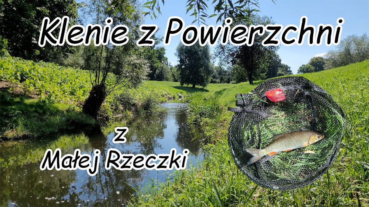Klenie z Małej Rzeczki na Woblerki i Smużaki ze Sklepu Wędkarskiego  Nizel.pl