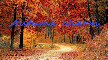 Autumn charm! Relaxation Video & Music. Instrumental relax music. Free HD Videos.