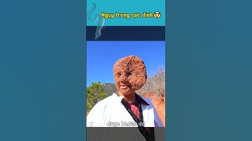 Ngụy trang cực đỉnh 🤯