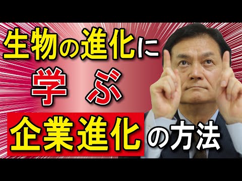 【経営・戦略編】エコロジーベースの企業進化論～生物の進化に学ぶ企業進化の方法