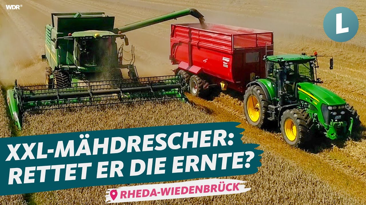 Endlich Ernte - ist der Weizen noch zu retten? | WDR Lokalzeit Land.Schafft.