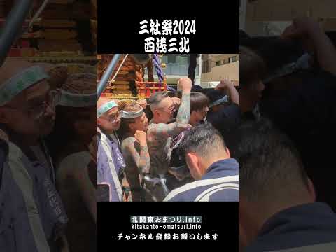 #三社祭 2024 #西浅三北 緋鯉満ゆ美さん 神輿渡御 SANJA MATSURI / Tokyo Asakusa