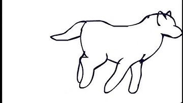 wolf run cycle *PRACTICE* READ DESCRIPTION