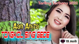 Tarling Terbaru 2022 | Tongkol Sing Gede ( lirik ) | Aan Aniza | Cipt. Amin Hermawan.