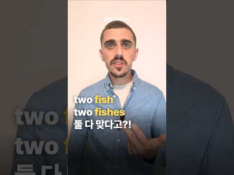 <strong>fish</strong> <strong>vs</strong>. fishes 아직도 헷갈리는 사람 🙌