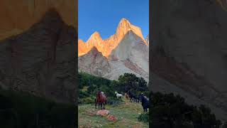 #подпишись #shortvideo #shorts #youtubeshorts #лайк #рекомендации #топ #природа #красота #видео
