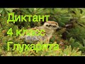 ВПР 2020  по русскому языку в 4 классе. Диктант и 2 задания к нему.  Вариант 9.  Вместо репетитора.