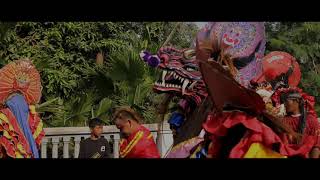 Story WA  terbaru 2019  || Bulan bulan Gedhe || Barongan Devil