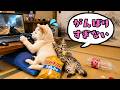 がんばりすぎなくていい / Take it easy
