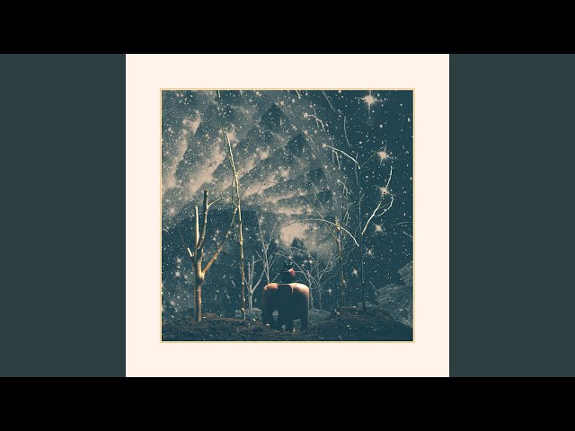 Nick Hakim - Cold