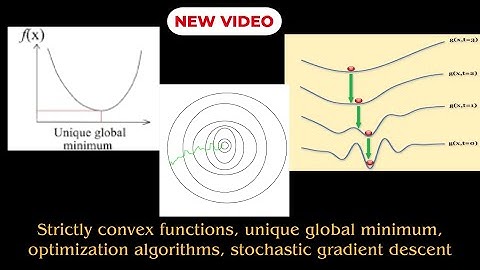 Strictly convex functions, unique global minimum, optimization algorithms, stochastic gradient desc
