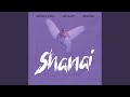 Shanai 