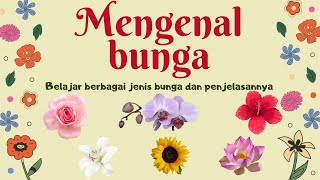 Macam-macam Bunga | Mengenal bunga tanaman hias untuk TK Paud | Bunga Mawar Melati