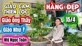 154 0344449496 - Ngọc Lan - Cam Thiên Lộc, Giảo Ông Thầy, Như Ý Hàng Đẹp