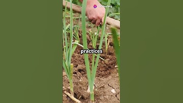 Effects of soil management strategies based on different principles on soil microbial communities..