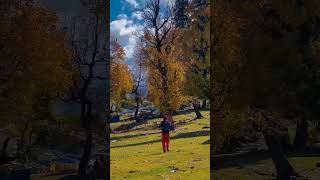 Tere Hath Me Mera Haath Ho Instrumentalwhatsapp Statuslofi Versionkashmir nature shorts 