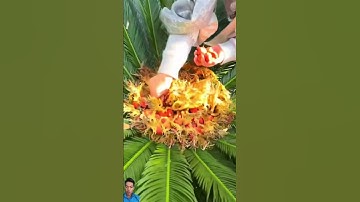 Thu hoạch quả cây vạn tuế! #fruit #satisfying #farming #shortvideo #short