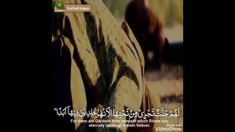 قال الله هذا يوم ينفع الصادقين صدقهم / بصوت القارئ عبدالرحمن ذكرى