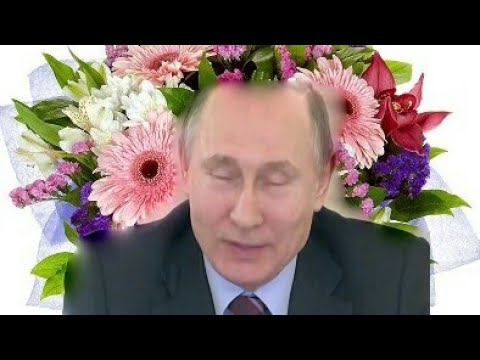 Поздравление Путина С Днем Рождения Лариса