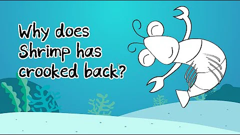 [Fairy Tales] "Why does shrimp has crooked back?" in english