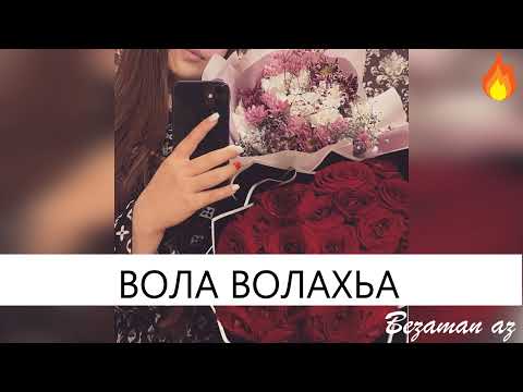 Вола Волахьа😍