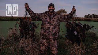 Hunting Mallards: New Zealand | The Journey Within - Mark V. Peterson Hunting