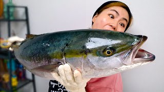 (eng) 집에서 10kg급 거대 '대방어' 해체하기!! How to cut a huge Yellowtail