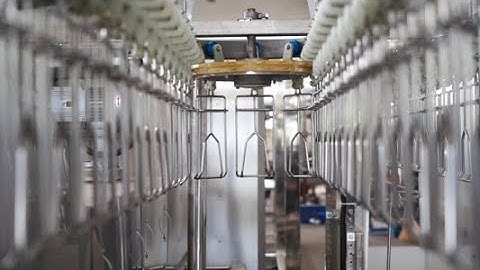 Increased Efficiency and Reduced Costs Using Compact Poultry Slaughter Line