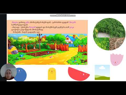 კოკი,მაიკო და სოკოები