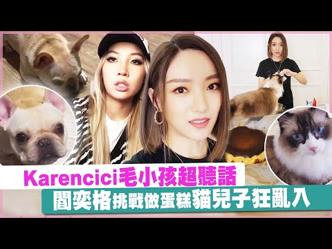 Karencici毛小孩超聽話 閻奕格挑戰做蛋糕貓兒子狂亂入｜#藝人居家防疫