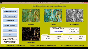 Corn Disease Detection using Image Processing