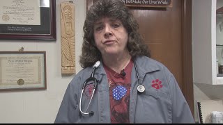 Is the deadly dog illness in Ohio or West Virginia and is it safe to go to the groomer or a dog show